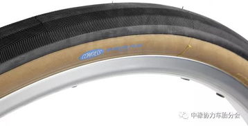 次世代輪胎 公路車真空胎大全