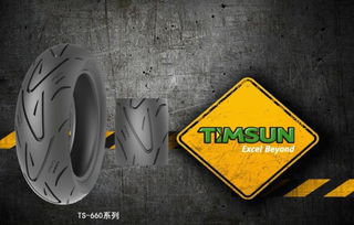 高抓地 耐磨有效結合,騰森 壁虎 系列輪胎發布