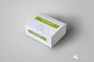 甲胎蛋白偏高的危害