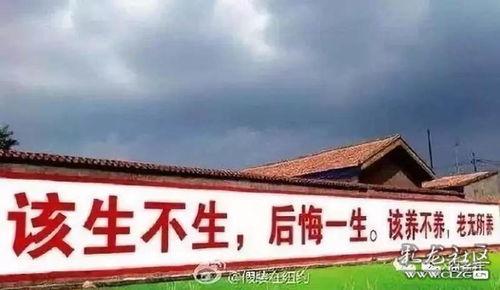 別笑 三胎開放了 回村看到這些計生標語再也不害怕了