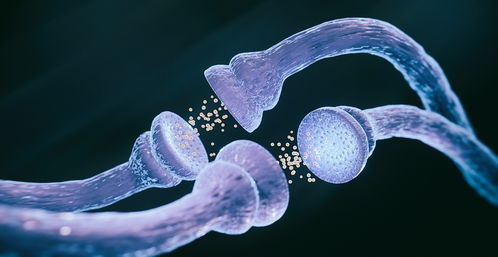 干細(xì)胞,為治療漸凍癥提供了新途徑